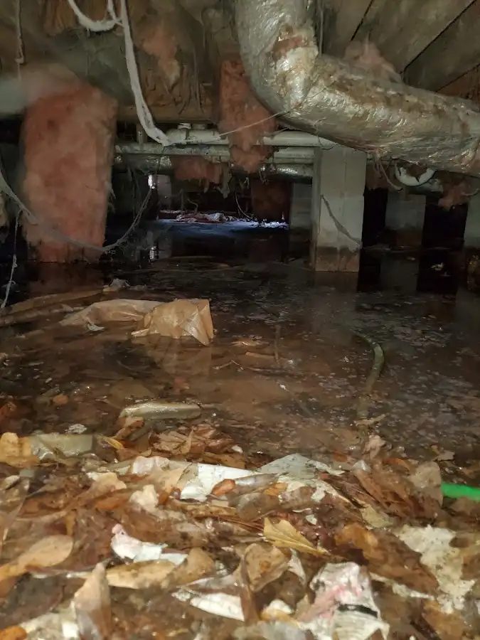 Crawl space flood assessment for Leak Detection & Repair in Cottage Lake